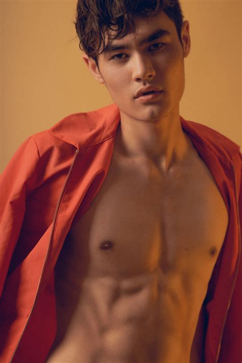 Fatal Model Lim