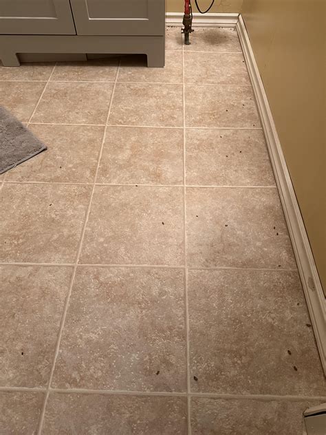 Sow bugs : r/exterminators