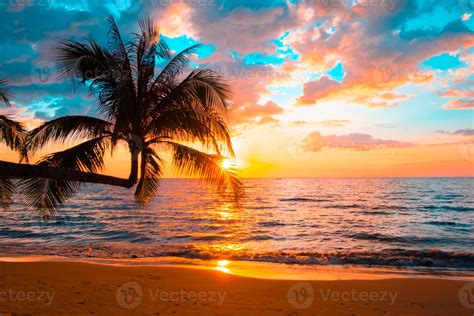 Silhouette of palm trees Beautiful sunset on the tropical sea beach ...