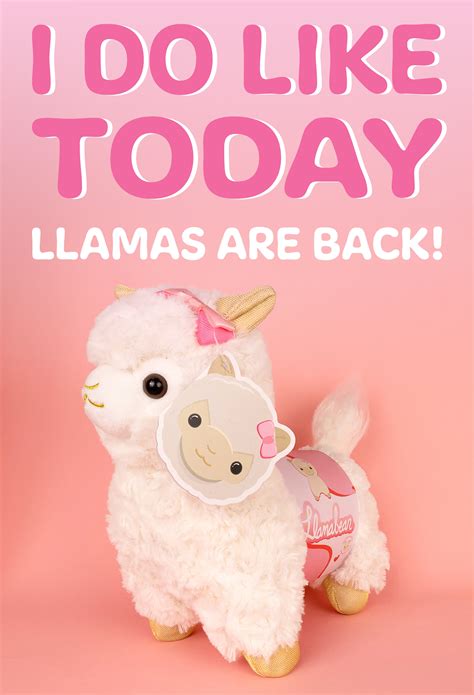 AMYYWOAHH MERCH – AmyyWoahh