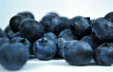 Nordic Wild Berries - Food Ingredients Expert