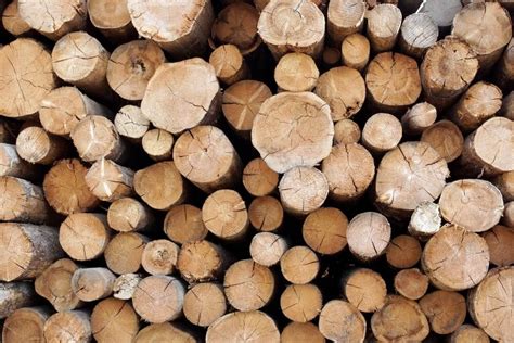 wood   timber difference  wood  timber