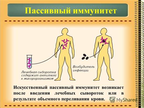Презентация на тему: "Иммунитет - способность организма защищать ...