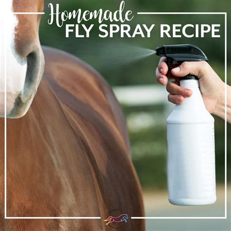 Homemade Fly Spray Recipe | The Printable Pony