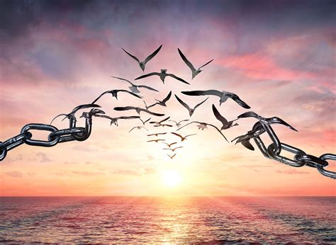 Why I Am Self-Publishing My Fifth Book | BookBaby Blog