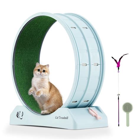 Amazon.com : Cat Exercise Wheel – Silent & Stable Cat Wheel for Indoor