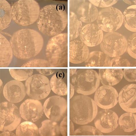 sem images   bn  bnc bn   bn bicomponent multifilament