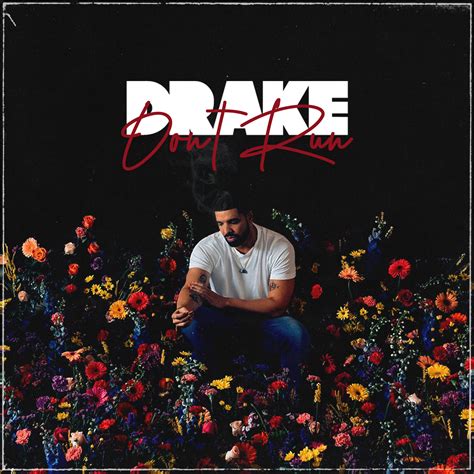 Drake Leak Album Cover Art — Bandicoot Design