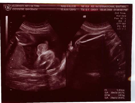 simple life  gylda   life    water