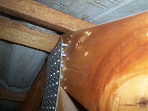 Major Causes Of Wood Truss Failures Warren Forensics, 50% OFF