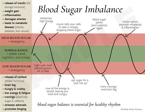 Types of Sugar Handout — Functional Health Research + Resources — Made