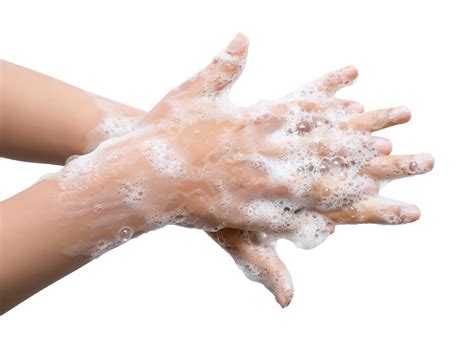 Hand Hygiene - Medline