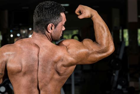 New Research Challenges 50 Years Of Muscle Knowledge - Redorbit