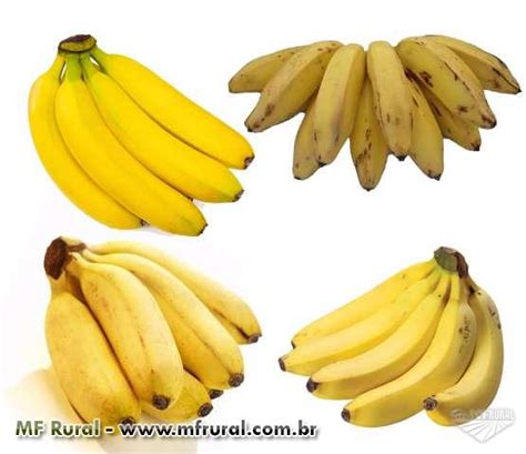 Banana Nanica E Prata - Banana Prata / Maçã / Nanica / Marmelo E/Ou Terra - Leia O 232611