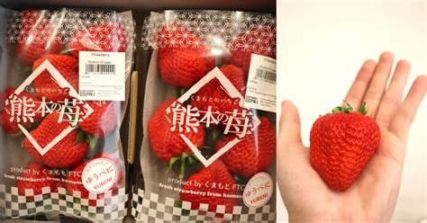 Why 1 packet of Japanese strawberries in S’pore can cost so much, explained - Mothership.SG ...