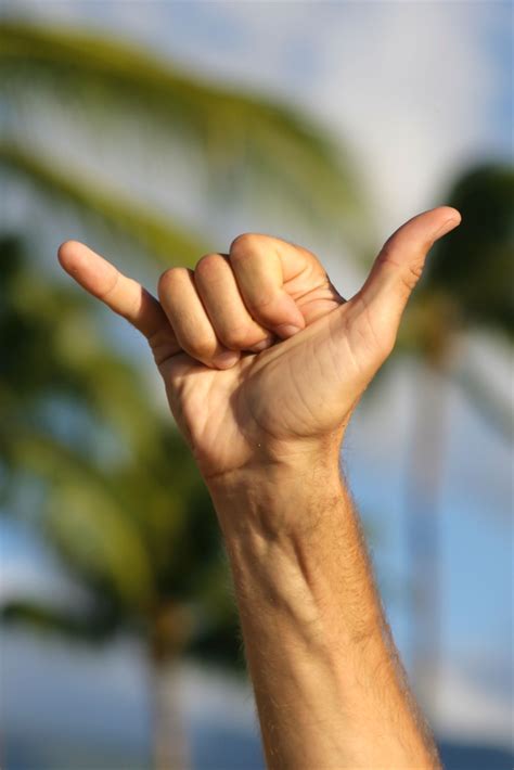 Hawaiian Shaka Sign