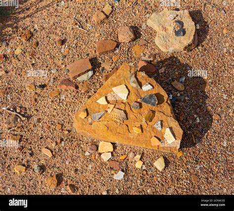 Arizona, Winslow, Homolovi State Park, Hopi ancestral Puebloan ...