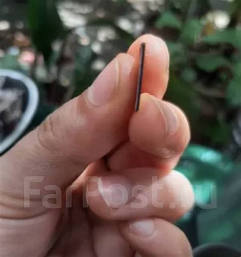 Micro-SD карта мини SD карта класс 10 карта памяти 32 Гб Экстрим Pro ...