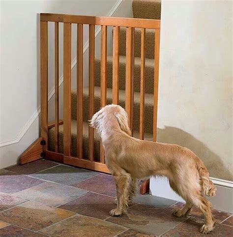 10 Best Dog Gates For Stairs - Foter