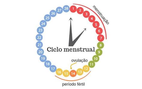 Transar Menstruada Corre O Risco De Engravidar - Transar sem camisinha dias antes da menstruação pode engravidar? Delas ...