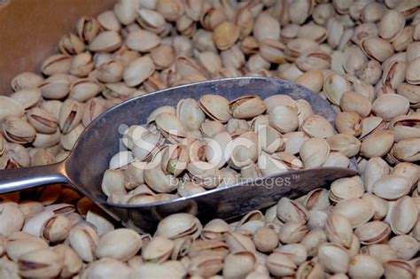 Pistachio Nuts Stock Photo | Royalty-Free | FreeImages