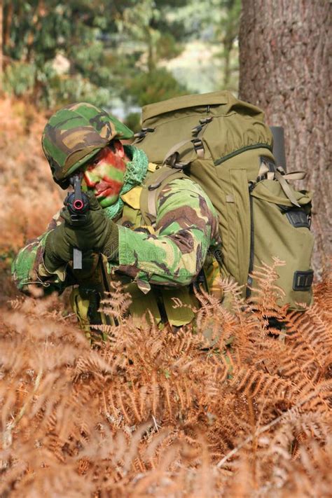 military training combat stock image image  mission