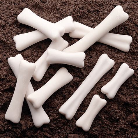 Dinosaur Bones - Early Years Direct
