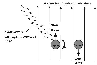 Ядерный магнитный резонанс