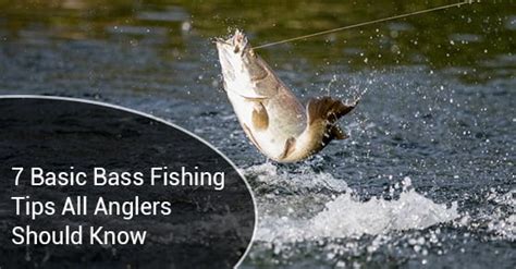 basic bass fishing tips  anglers   loughborough inn