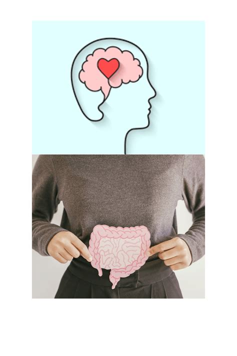 Are You Neglecting Your Gut? Learn How It Impacts Mental Health