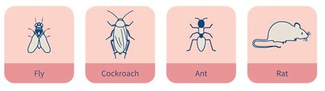 Pest control