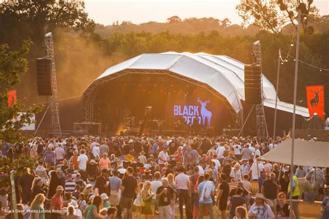 wordpress themes  artists  decorvolf