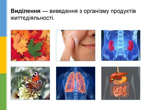 Ознаки живих організмів - презентация онлайн