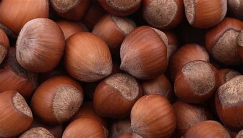 Фундук неочищенный 1кг "Nuts Market" - купить с доставкой по выгодным ...