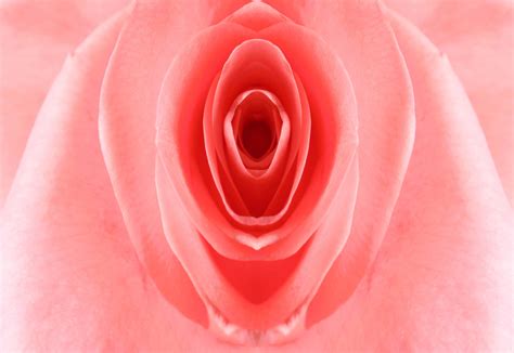 Labioplastia: Uma Jornada para a Autoestima Feminina