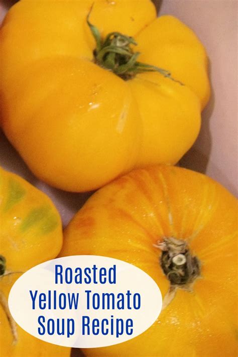 Vegan Roasted Yellow Tomato Soup Recipe - Mama Likes To Cook