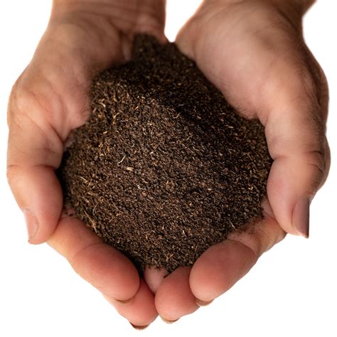 Soil Boost – A+ Organics