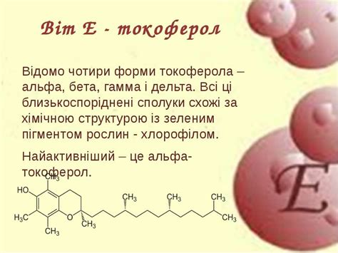 Віт Е - презентація з біології