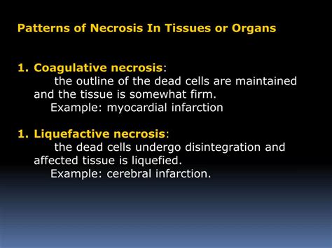 PPT - Necrosis and apoptosis PowerPoint Presentation, free download ...