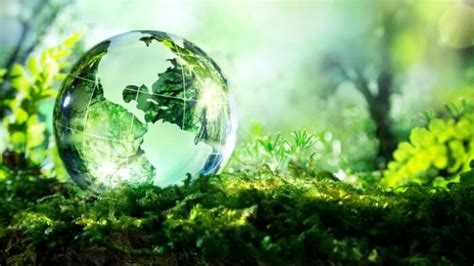 biosfera caracteristicas capas funcion  reservas del mundo