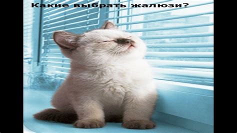 Виды жалюзи. Какие лучше выбрать? - YouTube