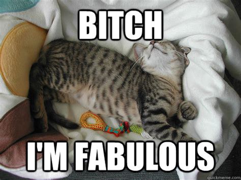 Fabulous Cat memes | quickmeme