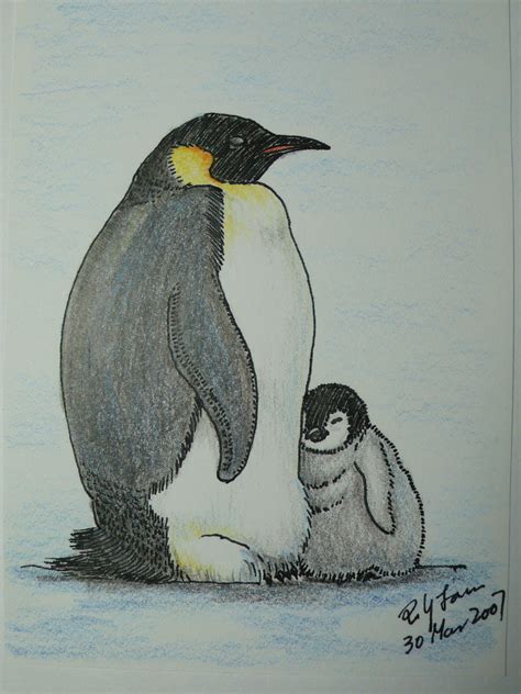 King Penguin Drawing at PaintingValley.com | Explore collection of King ...