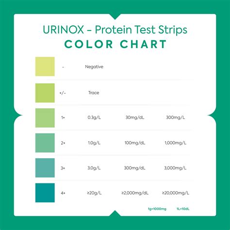 Low Protein And Blood In Urine at Danica Jones blog