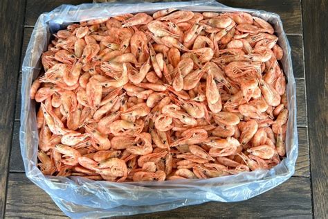 Креветка северная, 250+, 5кг купить в Москве с доставкой на дом от ...
