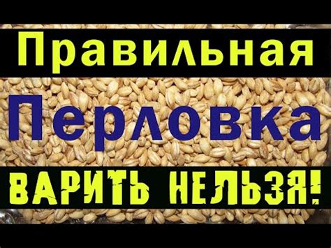 Перловка для рыбалки СУПЕР РЕЦЕПТ!!! Рыбалка на карася - YouTube