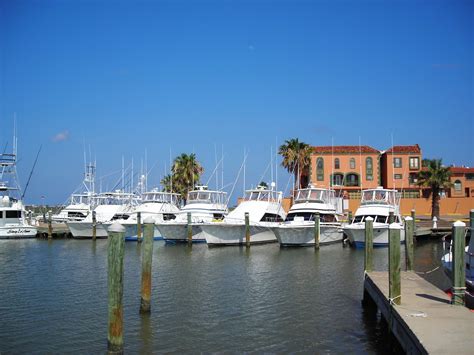 Your One-Stop Digital Marketing Agency in Freeport, TX