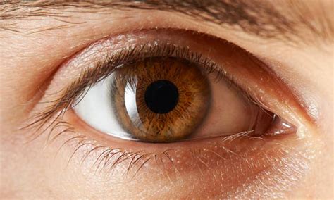 ¿Cuántas personas tienen ojos grises en el mundo? - Billiken