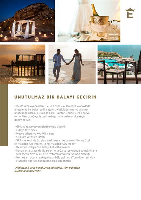 Elexus 'Factsheet | Behance :: Behance