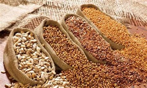 В Україні подорожчали зернові культури – AgroNews